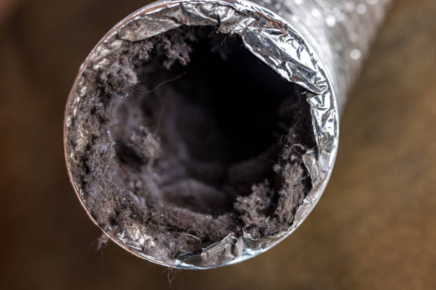 Best Commercial Air Duct Cleaning  in Charlevoix, MI